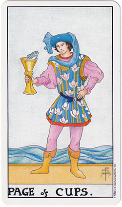 valet de coupes valet de coupes tarot amour