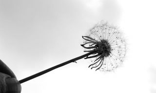 Réaliser ses désirs