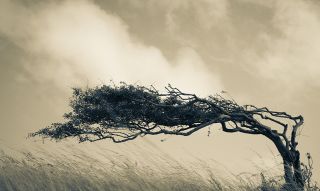 La résilience dans un thème astral