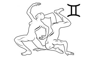 Le signe du gémeaux