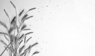 La maison 2 en astrologie