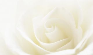 La maison 6 en astrologie