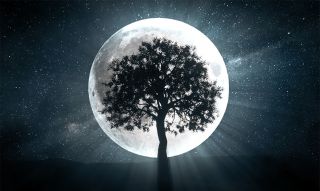 Nouvelle lune antérieure