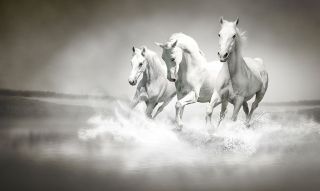 Puissances planétaires