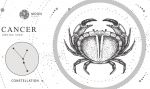 Ascendant cancer