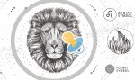 Bébé lion
