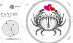 Le cancer en amour