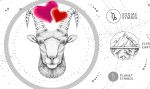 le capricorne en amour